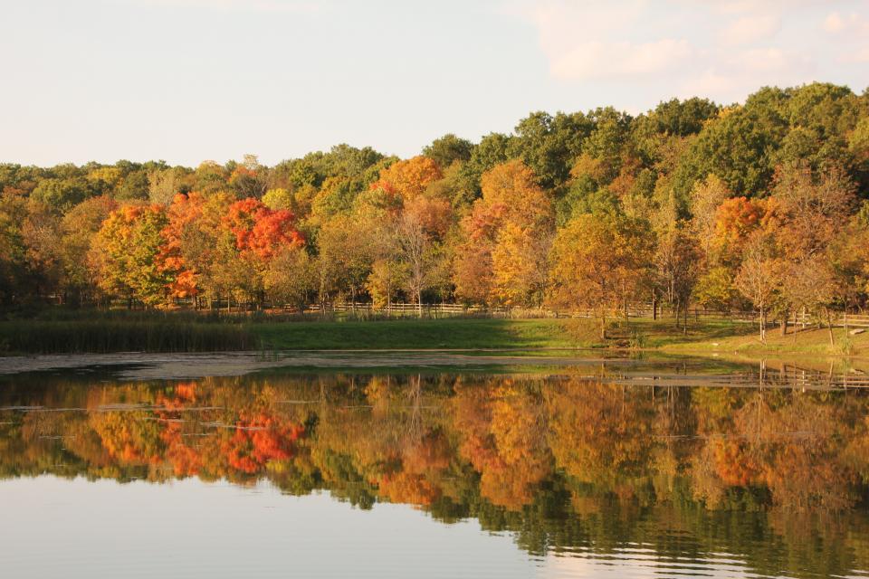 Gamber Cove Reflection | Shutterbug